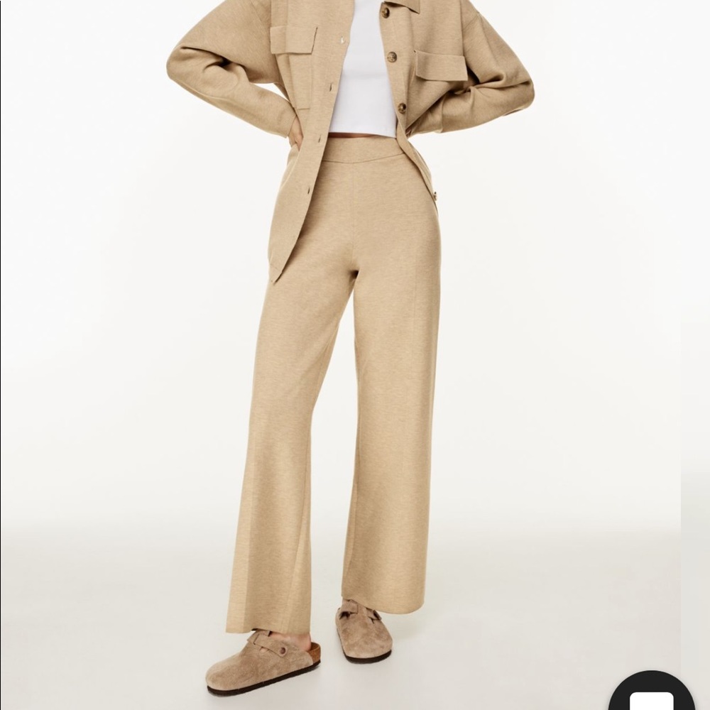 Aritzia Wilfred Free Souvenir Pant